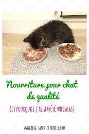 Nourriture Pour Chat De Qualite Et Pourquoi J Ai Arrete Whiskas Nourriture Chat Alimentation Chat Alimentation Du Chat