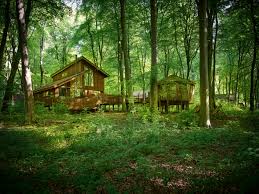 You'll find plenty of wooden details combined with natural greenery and atmospheric artwork. Luxury Treehouse Rentals Holidays Breaks Forest Holidays