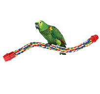 Parrot Rope Perches & Climbing Toys - Cotton Rope Swing & Spiral Stand For  Bird Cages