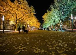 Pin On Light Inspirations