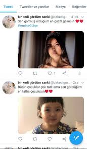 Bir Kedi Gordum Sanki Birkedigordum Twitter