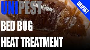 We're available 24 hours a day, 7 days a week for. Santa Clarita Pest Control Behind The Scenes Of A Bed Bug Heat Treatment Video