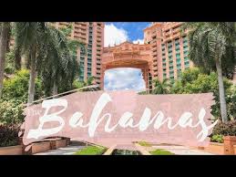 Atlantis Resort Shallow Water Interaction At Dolphin Cay Review - Viva  Veltoro