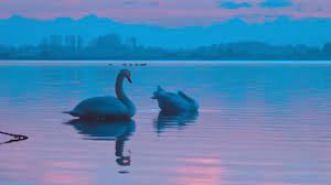 We did not find results for: Im A Dj Who Makes Dance Music Who Got To Play With Sting Happyember Peaceful Ambient Music Youtube