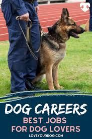 Dog Careers Best Jobs For People That Love Working With Dogs Police Dog Training Jobs Working With Dogs Dogs