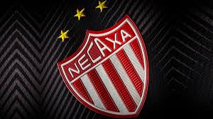 La impulsora del deportivo necaxa s.a. Necaxa Ya Acepto Oferta De Un Grupo De Inversionistas Extranjeros Fox Sports