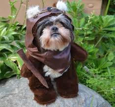 Star Wars Ewok Dog Costume Ewok Dog Costume Cute Dog Costumes Dog Costume