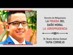EL DERECHO DE LAS OBLIGACIONES LA PRUEBA DEL DAÑO MORAL EN LA  JURISPRUDENCIA