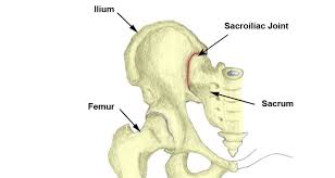 Feeling of leg instability (buckling, giving way). Sacroiliac Joint Pain Symptoms Causes Treatment Exercises