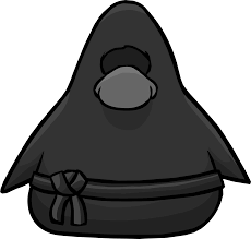 I hope the club penguin ninja training guide helps! Ninja Outfit Club Penguin Rewritten Wiki Fandom