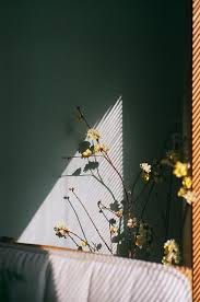 Aesthetics digital wallpaper, vaporwave, kanji, chinese characters. Photography Aesthetic Vintage Wallpaper 21 Ideas