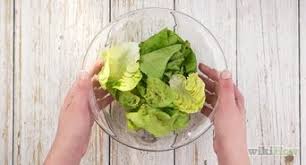 Hopefully at this point you will begin to see your lettuce grow, although results may vary. Ae1a3lzmwl22om