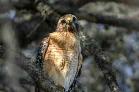 Nice 🤍🤍🤍💙💙💙💜💜💜