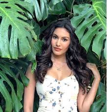 Amyra dastur is an actress in the indian film industry who has starred in many hindi movies and also is quite famous in the south film industry too. Amyra Dastur Movies Instagram Age Biography Family Images Biowiki