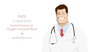 We did not find results for: Pao2 Partial Pressure Of Oxygen In Arterial Blood