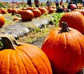 Barn Dance @ Mortimer Farms! All Ages Welcome!