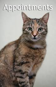 The pet clinic of urbana, proudly supports the champaign county 4h clubs! Beaumont Animal Clinic Urbana Il Serving Champaign County