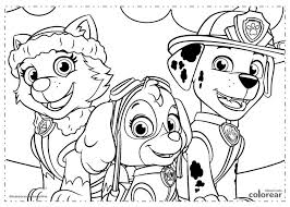 Patrulla Canina Para Colorear Sky