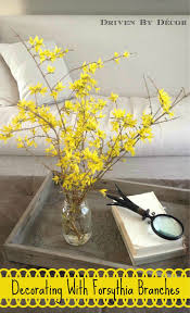 Decorating With Forsythia Branches Driven By Decor Centerpiece Wedding Flower Arrangements Flower Centerpieces Wedding