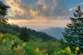 Tennessee State Song | Smoky Mountain Rain