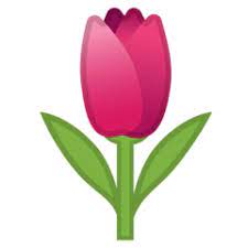 Pin By Syamimi On Wallpapers Flower Wallpaper Tulips Emoji
