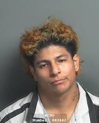 APARICIO TORRES MOISES ISAIAS was booked into the Montgomery County Jail