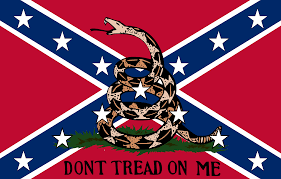 Image result for gadsden flag