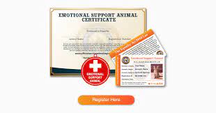 A licensed mental health professional will assess your condition and write a letter describing that your esa is not just your pet, but also the situation is similar when you rent a house. How To Get An Emotional Support Animal In Canada Law Qualification Certification