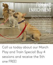 Check spelling or type a new query. Enrichment Camp Bow Wow S Dog Training Offers Flexible Programming For Every Dog And Every Lifestyle Our Training Methods Are Designed To Best Suit The Dog And Parent While Using Reward Based Techniques We