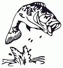 Download Bass Fish Drawings Coloring Home