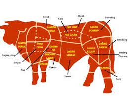 Pin On Resep Cara Mengolah Daging Sapi