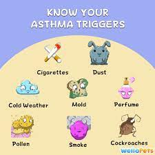 Avoid These Triggers And Keep Your Asthma Under Control Kidshealth Asthmaawareness Wellwithwella Asthma Asthma Treatment Essential Oils For Asthma
