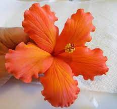 Pin By Wendy De Wit Bos On Gumpaste Flower Tutorials Sugar Flowers Tutorial Fondant Flower Tutorial Flower Tutorial