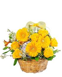 Image result for Sunglow Yellow 2017 City Express