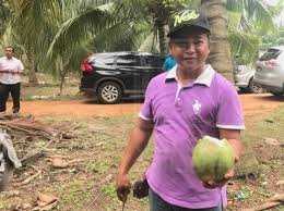 See more of projek tanaman kelapa matag ppk bagan datuk on facebook. Dulu Rm1 500 Sebulan Makan Gaji Sekarang Rm50 000 Sebulan Bisnes Buah Kelapa Pandan Mataq Kartel Dakwah