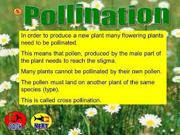 Pin On Biology Lovers