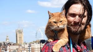 VIRAL] A Street Cat Named Bob: Bestselling Author James Bowen's Cat Dies at  Age 14