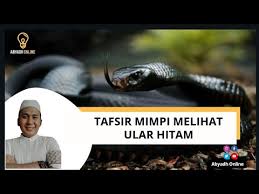We did not find results for: Mimpi Bertemu Ular Hitam Belajar