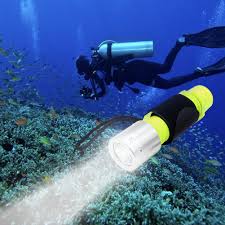 Chaselight Diving Light Submarine Scuba Buy Online In Faroe Islands At Desertcart