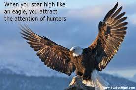 Soar Like An Eagle Quotes And Sayings Quotesgram Eagle Wallpaper Bald Eagle Eagles