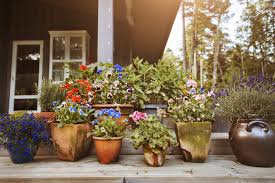 Potted plants can offer joy and the reward of gardening, even if you are limited to a patio, balcony or porch. The Elements Of Successful Container Gardening