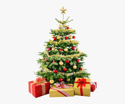 Use these free christmas tree png #2849 for your personal projects or designs. Christmas Tree Png Christmas Tree No Background Transparent Png Transparent Png Image Pngitem
