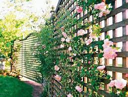 60 Gorgeous Fence Ideas And Designs Renoguide Australian Renovation Ideas And Inspiration Privacy Fence Landscaping Privacy Landscaping Backyard Fences