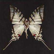 Mariposa Traicionera Letra