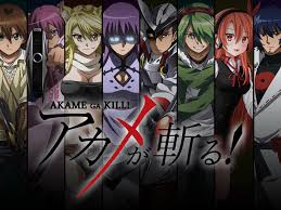 Wall art akame ga kill bulat tatsumi akame najenda esdeath leone anime poster prints set of 6 size a4 (21cm x 29cm) unframed great gift for children. 7 Anime Like Akame Ga Kill Reelrundown