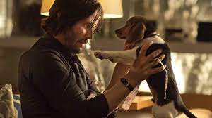 Until that dog arrived on my doorstep. John Wick Was Fur Einen Hund Hat Er Und Warum Ist Der So Wichtig John Wick Puppy John Wick Aesthetic Movies