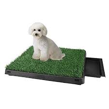 Grundlagen für den bau eines gewächshauses. Hundetoilette Test Die Besten Im Vergleich 2021