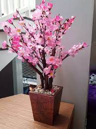 Maybe you would like to learn more about one of these? Pohon Sakura Plastik Artificial Palsu Tinggi 50 Cm Bunga Sakura Plastik Pohon Hias Plastik Pohon Plastik Besar Pohon Sudut Dekorasi Rumah Dekorasi Ruang Bunga Hias Plastik Hiasan Ruang Tamu Lazada Indonesia
