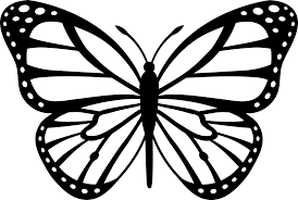 Butterfly Outline Picture Clipart Free To Use Clip Art Resource Coloring Home Butterfly Clip Art Monarch Butterflies Art Butterfly Stencil