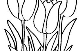 Mengingat banyak permintaan untuk bunga tulip maka kali ini saya posting gambar bunga tulip untuk diwarnai. Gambar Mewarnai Bunga Tulip Harian Nusantara Cute766